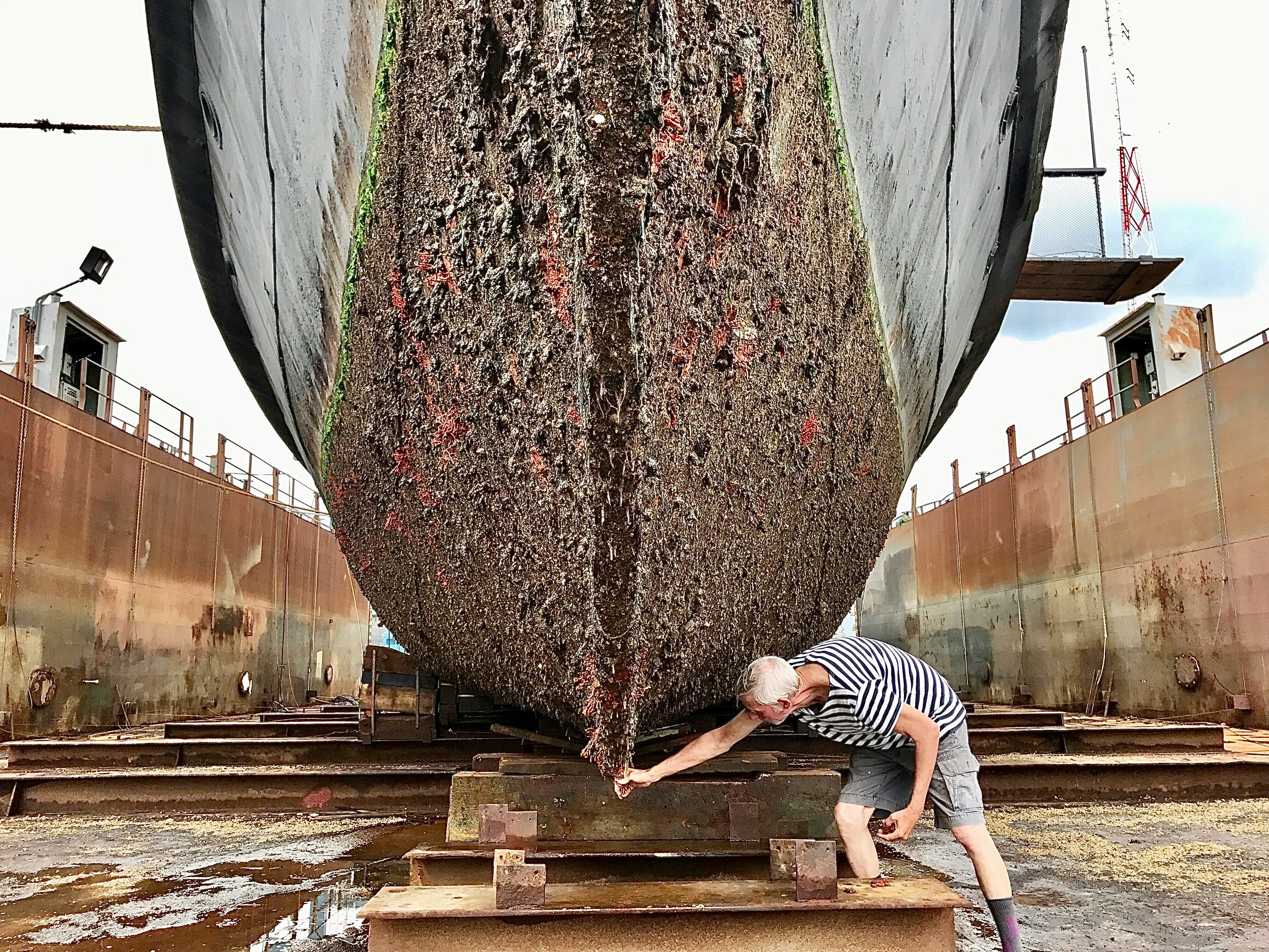 A ship hull at the waterline, where marine biofouling takes hold